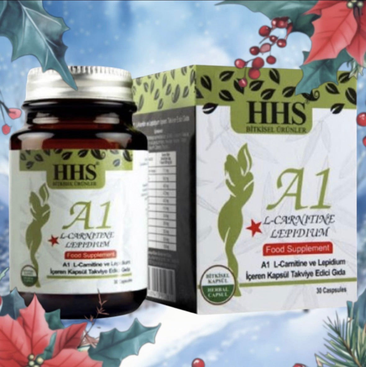 HHS A1 Kapseln – Nahrungsergänzungsmittel mit L-Carnitin & Lepidium